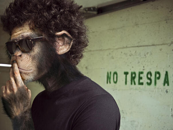 Neuralink показала обезьяну, которая играет в Pong силой мысли